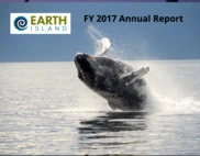 Earth Island Institute