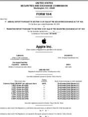 Apple Inc.