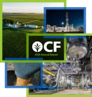CF Industries Holdings, Inc.