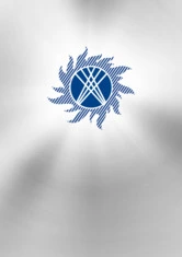 Federal Grid Company Of Unified Energy