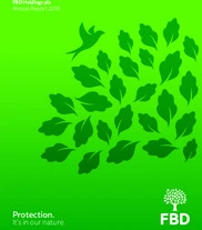FBD HOLDINGS PLC