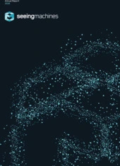 Seeing Machines
