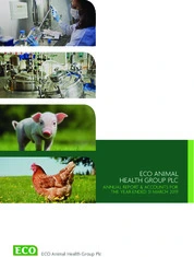 Eco Animal Health Group PLC