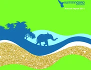 Hummingbird Resources PLC